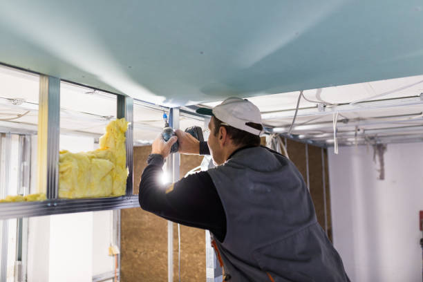 Best Insulation Installation Services in Wewahitchka, FL