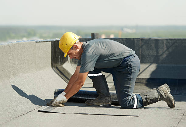 Best Insulation Maintenance and Repair in Wewahitchka, FL